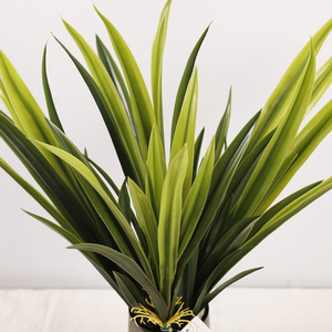 Plantes Décoratives Artificielles en Gros : Orchidées, Chlorophytum, Feuilles de Gladiolus – Décorations et Aménagements Paysagers Artificiels - Product Image 2
