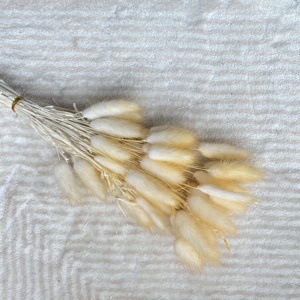 Vente en gros Queue de lapin conservée Fleur sèche Queues de lapin séchées <span class=keywords><strong>Lagurus</strong></span> Ovatus pour la décoration de mariage - Product Image 6