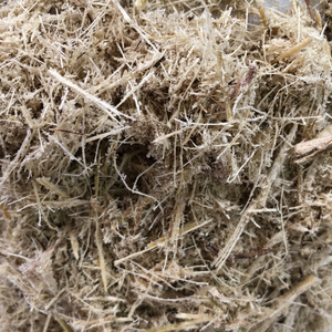 BAGAZO DE CAÑA DE AZÚCAR VIETNAMITA DE ALTA CALIDAD-IDEAL PARA COMPRAS A GRANEL CON BENEFICIOS ECOLÓGICOS - Product Image 1