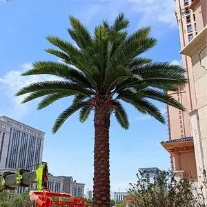 Plantes tropicales Anti-uv aménagement paysager décoratif, grand palmier artificiel d'extérieur, vente en gros, chine