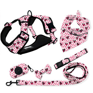 Roupa para Cães OEM Suprimentos para Animais de Estimação com Logo da Marca Personalizado Impresso Roupas de Luxo Fofas para Cães Camiseta para Filhotes - Product Image 5