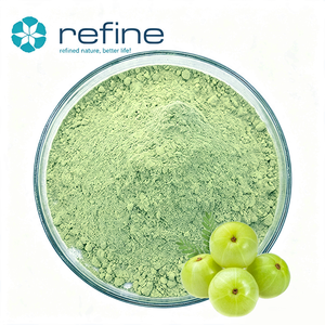 <span class=keywords><strong>Poudre</strong></span> de fruit <span class=keywords><strong>d</strong></span>'<span class=keywords><strong>Amla</strong></span> 100% pure, biologique et naturelle, directement du fabricant, <span class=keywords><strong>poudre</strong></span> de jus <span class=keywords><strong>d</strong></span>'<span class=keywords><strong>Amla</strong></span>, <span class=keywords><strong>poudre</strong></span> <span class=keywords><strong>d</strong></span>'<span class=keywords><strong>Amla</strong></span> - Product Image 2