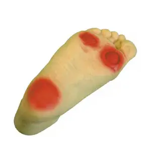 Modelo dvanced para el cuidado del pie diabético, tratamiento edical ursing - Product Image 1