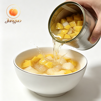 Premium fruitblokjesmix in blik, gemaakt van verse ananas, gele perzik en peerblokjes
