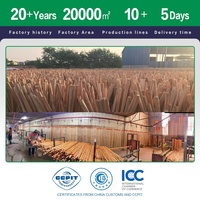 Manche en bois verni à approvisionnement direct, 120 cm, finition lisse peinte, pour balai, Palo De Escoba YINGJIA