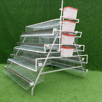 Équipement d'élevage avicole entièrement automatique de conception moderne, cage à poules pondeuses de type D pour les États-Unis