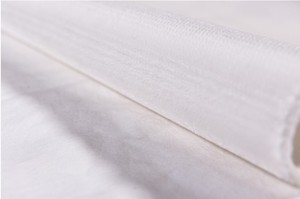 <span class=keywords><strong>PFY</strong></span> <span class=keywords><strong>Polyester</strong></span> <span class=keywords><strong>Filament</strong></span> Sợi Bàn Chải Con Lăn Vải Trắng Shuttle Dệt Bàn Chải Vải - Product Image 2