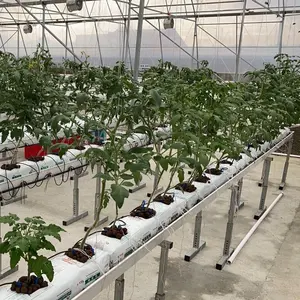 Nuovo sistema di agricoltura idroponica cetriolo pomodoro di grandi dimensioni in PVC grondaia sistema di canalone di crescita con Cocopeat crescente borsa