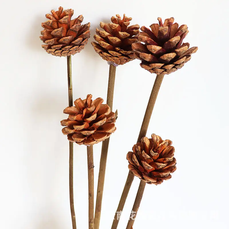 AYOYO Nuevas ideas de productos 2024 Cono de pino de flores secas para todo tipo de decoración de festivales