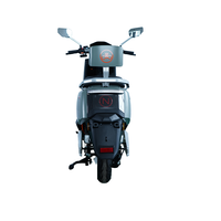 Trottinette électrique à grande vitesse 60 V 1000 W Batterie au plomb-acide Trottinette électrique à deux roues pour adultes