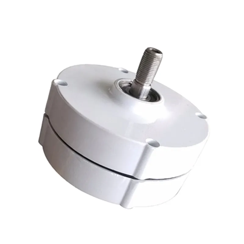 100W Low Speed Small Wind Turbine Pmg Motor Permanent Magnet Generator