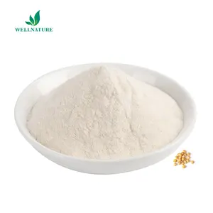 Suministro estable de lecitina de soja NO OGM en polvo gránulos de lecitina de soja para uso alimentario