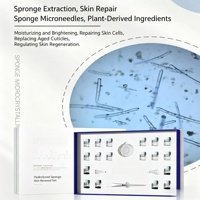 Perawatan Penghalus Pori Terbuka, Kit Pengelupasan Eksfoliasi, Spons Terhidrolisis Spongilla Spicule, Terapi Bio Microneedling, Set Bubuk & Serum