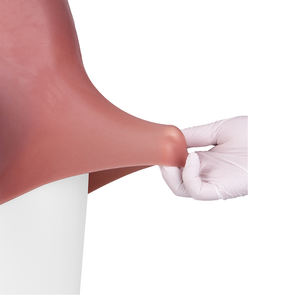 SXXY Dildo de Silicona Realista Grande y Grueso con Calzoncillos Tipo Boxer, Funda de Silicona para Pene, Extensor de Pene, Juguetes Sexuales para Hombres - Product Image 5