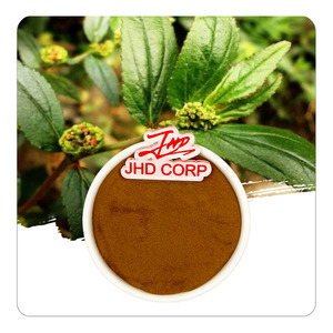 Commercio all'ingrosso del magazzino di alta qualità per uso alimentare estratto vegetale naturale 4:1 10:1 <span class=keywords><strong>asma</strong></span> pianta euforbia Hirta estratto in polvere - Product Image 1