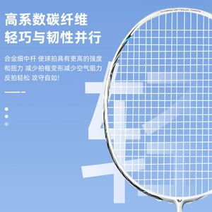 <b>Badminton</b> Racket Set Professional Training Durable Leisure Sports Racquet - Product Image 5