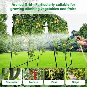 <span class=keywords><strong>Treillis</strong></span> de jardin en acier inoxydable décoratif de style nouveau avec un grand tunnel en forme d'arche <span class=keywords><strong>pour</strong></span> les plantes <span class=keywords><strong>grimpantes</strong></span> et les <span class=keywords><strong>fleurs</strong></span> en extérieur - Product Image 6