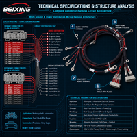 Harnais de câblage complet personnalisé BeiXing avec âme en cuivre et isolation PVC/Nylon, indice de protection IP67, pour automobiles et motocyclettes