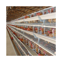 Équipement d'élevage avicole automatique de type A, très demandé, neuf, pour l'élevage de poules pondeuses africaines, 3-5 niveaux