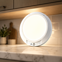 Lampe à détecteur de mouvement rechargeable, éclairage sous armoire, alimentation USB, LED intelligente, télécommande, lampe de nuit pour chambre à coucher, pour armoire