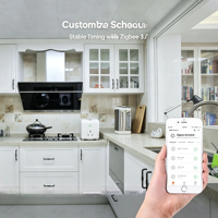 Enchufe Inteligente Zigbee 3.0 de Fábrica para la UE, Enchufe Inteligente Tuya con Control por Voz de Alexa y Google Home, Embalaje con Logotipo Personalizado OEM