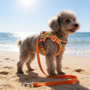 YG-8012 Rompi <span class=keywords><strong>Harness</strong></span> Hewan Peliharaan Berbahan Nilon dengan Desain Lipat di Dada dan Punggung, Bermotif Kartun Modis dan Berlapis - Product Image 4