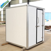 ColdKing 1.6m Panneau sandwich en FRP Petite remorque alimentaire Réfrigérateur Boîte de stockage -20C Chambre froide mobile