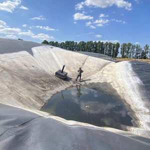 Géomembranes en HDPE pour bassin à poissons 20 millésimes gris Prix - Product Image 1