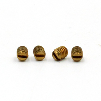 Vis sans tête DIN916 en laiton M1.6 M2 M2.5 M3 M4 M5 M6 M8, vis sans tête hexagonale en acier inoxydable