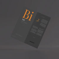 Impression personnalisée de luxe de haute qualité 4 fois Flyer personnalisé découpé Brochure manuel papier impression dépliant plié