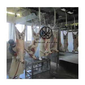 Best Selling Complete Goat Abattoir Plant Carcass Processing Slaughtering Line For Mutton Stunning Machinery Equipment