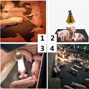 Porcelets caoutchouc mad pour équipement de ferme porcine/porcherie/hogpen/porcherie/hoggrey/porcherie - Product Image 3