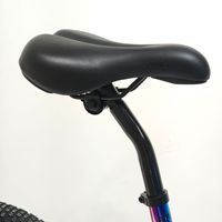 Vélo BMX Freestyle Léger à Vitesse Unique pour la Rue et le Dirt Jump, 20 Pouces, avec Selle Réglable et Frein à Disque, pour Garçons et Filles, Directement de l'Usine