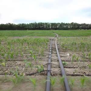 צינור השקיה hdpe שחור 1 1/2 אינץ (32 מ "מ/40 מ" מ) חקלאות גמישה צינור סליל רול עם 1.6mpa לחץ - Product Image 5