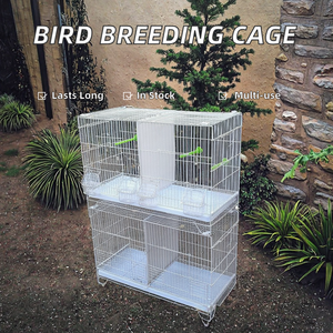 Cage à oiseaux de haute qualité pour perruches, pinsons, calopsittes, <span class=keywords><strong>conures</strong></span>, agapornis, canaris, perroquets, plateau en plastique, boîte en fer emballée - Product Image 2