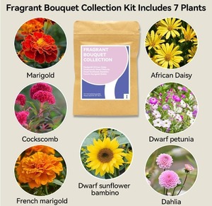 DIY Herb Garden Starter Kit 9 piantine di piante e Bouquet profumato per uso domestico - Product Image 4