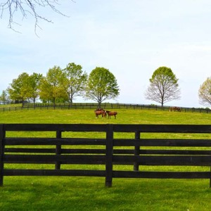 Di alta qualità ha galvanizzato la recinzione del bestiame & del cavallo del Ranch i pannelli mobili della penna & le recinzioni delle pecore - Product Image 1