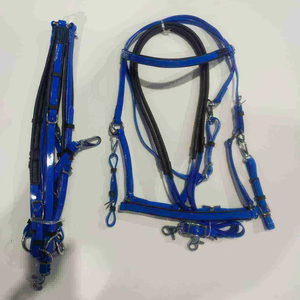 Bridon d'endurance en cuir haute résistance conçu pour les professionnels, garantissant un contrôle supérieur du cheval et une performance d'équitation confortable - Product Image 1