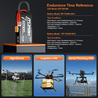 Batterie LiPo EP Custom 6S 22000mAh 22.2V Lithium Polymère avec Taux de Décharge de 25C Longue Durée de Vie pour Drone Agricole UAV