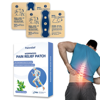 Patch analgésique Lijitang pour les douleurs musculaires, dorsales et articulaires du genou, application corporelle, autres produits de santé