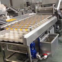 Laveuse-éplucheuse automatique à rouleaux brosse 150 kg/h pour pommes de terre, gingembre, carottes – Équipement de nettoyage pour la transformation alimentaire