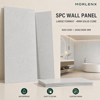 Panneau mural SPC moderne MORLENX, aspect pierre blanc-gris, imperméable, grand format, revêtement pour appartement, cuisine et intérieur d'hôtel