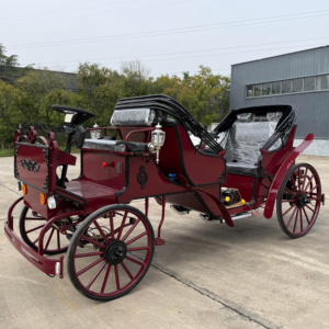 Carrosse électrique pour événement de concours de beauté, carrosse de princesse exclusif, carrosse électrique à cheval - Product Image 1
