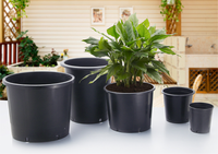 Pot de fleurs en plastique noir ZEWO pas cher pour serre, pépinière, jardin, semis/fleurs, modèle mobile et super résistant Zw888
