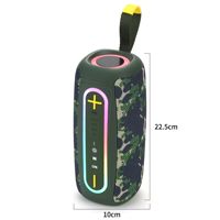 Haut-parleur portable subwoofer haute puissance P24pro TWS Stéréo Double Diaphragme Éclairage RGB USB AUX pour son étanche IPX6 5.4