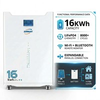Batterie au lithium haute capacité 51.2V314AH 16KW Lifepo4 pour système solaire hybride 16KWH48V Batterie solaire