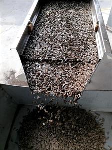 Machine de tamis vibro linéaire à trois étages directe d'usine pour la transformation des aliments pour les grains de café en plastique avec Offre Spéciale de moteur à noyau - Product Image 6