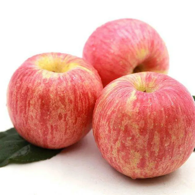 Exportation Chinois fruits de pomme frais avec le meilleur prix