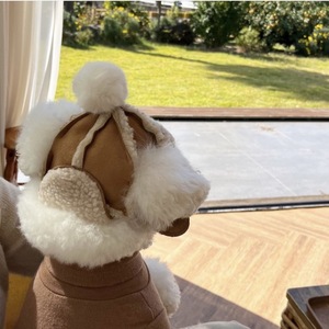 Gorro de lana de cordero para mascotas, estilo coreano, forrado de vellón, cálido, cortavientos, para otoño/invierno, gorro de vuelo para perros y gatos, venta al por mayor de Bichon Frise. - Product Image 4