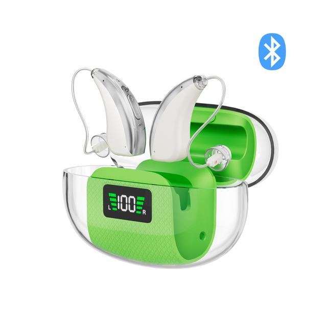 Rechargeable Hearing Aid RIC BTE Digital Hearing Amplifier with BT 5.3, App Control & LED Display